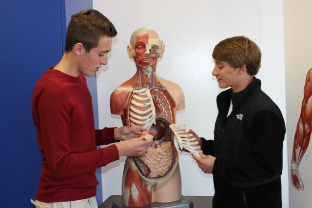 WWT adds Anatomy & Physiology class
